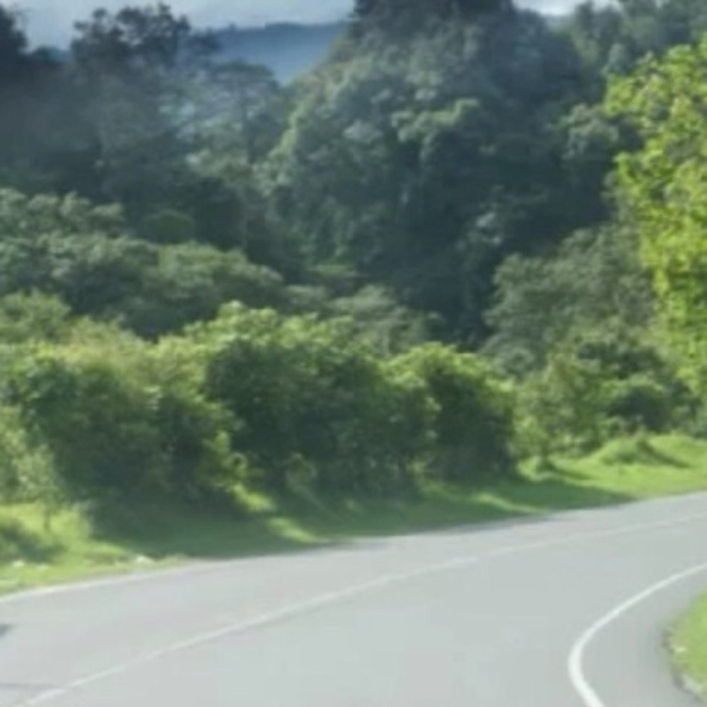 Meet your Posher, Chely